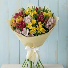 Букет цветов из:  Альстромерии #REPLACE_PRED# Каменномостском